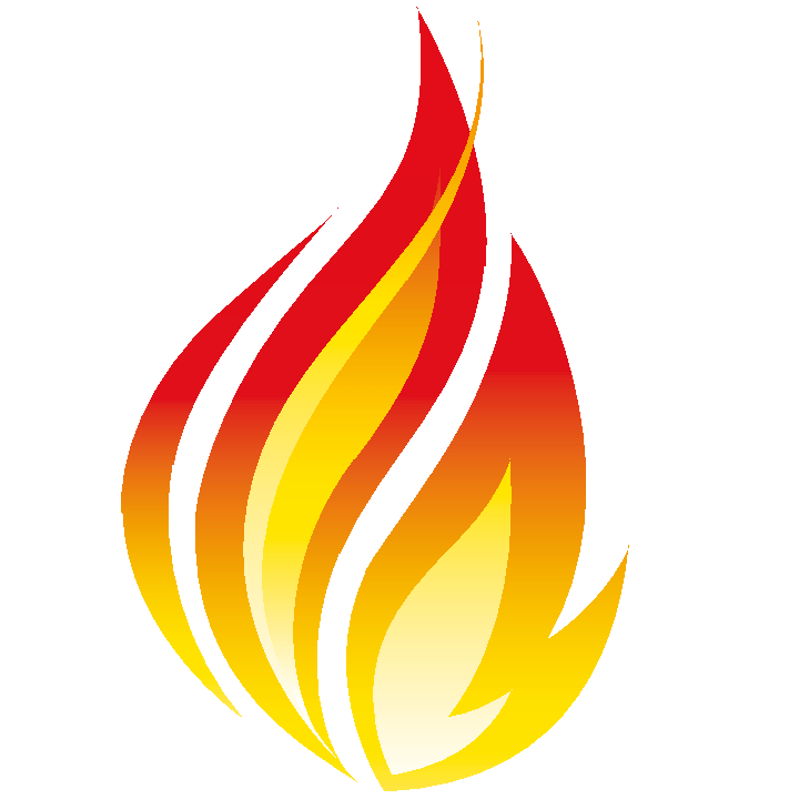 FHIR Logo